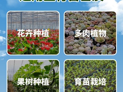 40L国产先机育苗基质草炭土蛭石 珍珠岩通用型营养土水果蔬菜种植图4