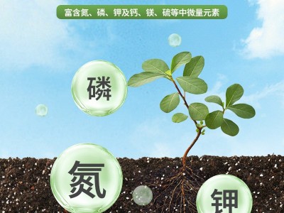 100L进口苔藓泥炭育苗基质通用型营养土灰分含量少双项杀菌有机图2
