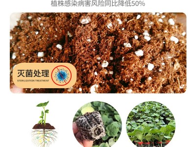 100L进口苔藓泥炭育苗基质通用型营养土灰分含量少双项杀菌有机图4