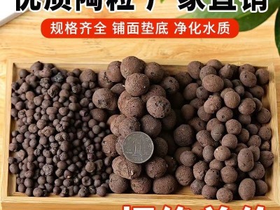 园艺花用陶粒盆栽垫底透气铺面石水培植物专用轻陶粒卫生空心多肉图3