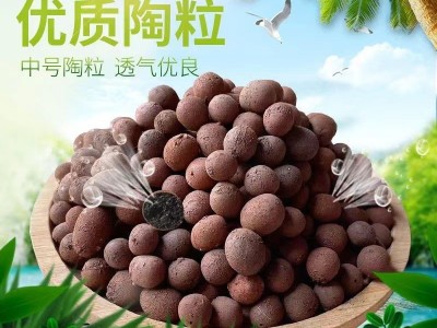 园艺花用陶粒盆栽垫底透气铺面石水培植物专用轻陶粒卫生空心多肉图2