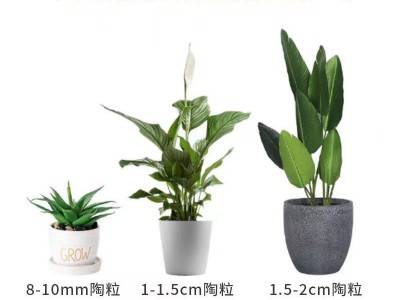 园艺花用陶粒盆栽垫底透气铺面石水培植物专用轻陶粒卫生空心多肉图4