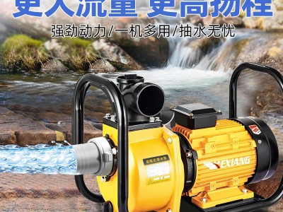 厂家农用DSU大流量自吸泵灌溉CHP高压220伏两相380V三相电机水泵图3