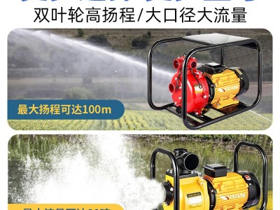 厂家农用DSU大流量自吸泵灌溉CHP高压220伏两相380V三相电机水泵图2