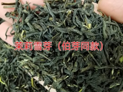 茉莉雪芽霸王同款茶姬伯牙绝弦奶茶店专用茉莉绿茶高香蜜芽原材料图3