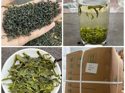 拾峰日照高山云雾绿茶茶叶批发市场散装2024新茶崂山炒青松阳香茶图3