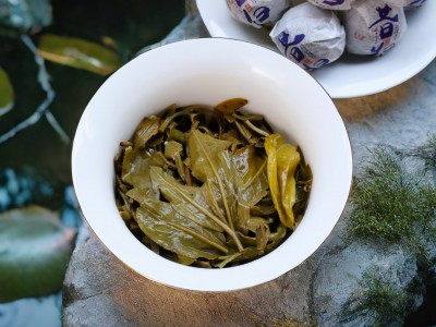 昔归普洱生茶龙珠云南古树茶图4