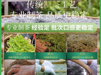 500克正宗特级张家界莓茶芽尖龙须莓茶茅岩霉茶土家藤茶一件代发图2