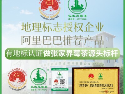 100克张家界莓茶特级芽尖莓茶正宗龙须茅岩霉茶土家藤茶一件代发图3