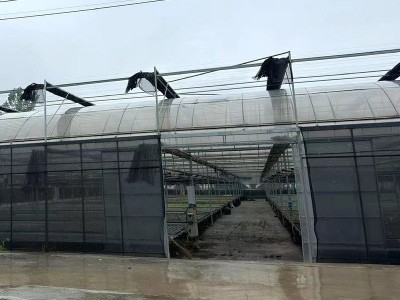农业外遮阳温室大棚连栋连体大棚拱棚恒温大棚植物蓝莓苗种植大棚图4