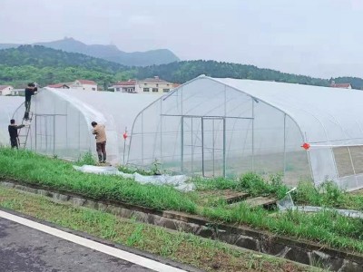 农业内保温温室大棚骨架遮阳温室圆拱形薄膜温室大棚单体大棚遮阳图3