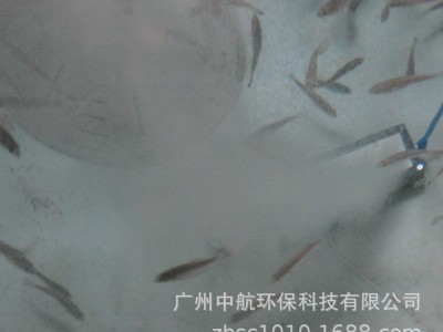 ras水产养殖系统室内养殖设备陶瓷纯氧曝气盘纳米爆氧曝气盘图3