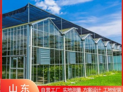 连栋玻璃温室 大棚骨架 蔬菜温室大棚 兰花大棚 智能控制系统图2