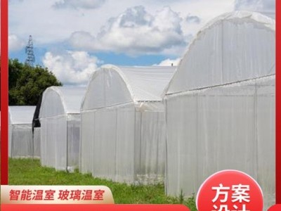 连栋薄膜温室大棚骨架蔬菜大棚骨架加工花卉种植大棚建设养殖大棚图2