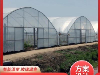 连栋薄膜温室大棚骨架蔬菜大棚骨架加工花卉种植大棚建设养殖大棚图4