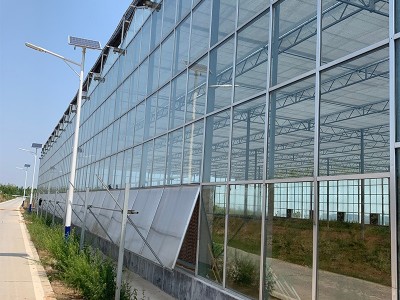 无土栽培玻璃温室 智能农业种植大棚 现代化全自动大棚 玻璃大棚图2