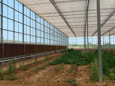 无土栽培玻璃温室 智能农业种植大棚 现代化全自动大棚 玻璃大棚图3