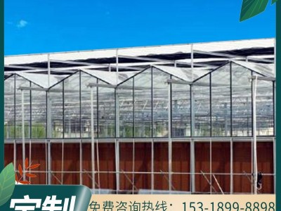 玻璃温室大棚设计安装 花卉大棚园林智能温室 暖棚观光实验大棚图4