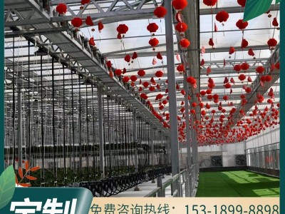 玻璃温室大棚设计安装 花卉大棚园林智能温室 暖棚观光实验大棚图3