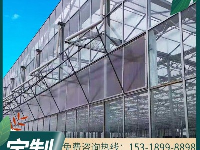 连栋玻璃温室 苗圃花卉连体温室大棚 可控制温度湿度系统玻璃暖棚图3