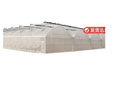 连栋温室大棚种植草莓蔬菜大棚骨架薄膜简易连栋连体温室大棚图5