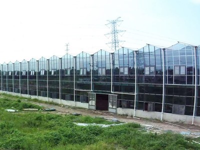 定制玻璃温室大棚果蔬花卉种植农业观光大棚园林智能玻璃温室大棚图3