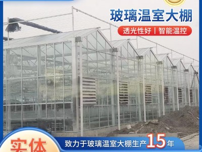 定制玻璃温室大棚果蔬花卉种植农业观光大棚园林智能玻璃温室大棚图2