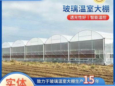 定制玻璃温室大棚现代种植观赏大棚农业花卉养殖大棚玻璃温室大棚图2