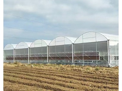 定制玻璃温室大棚现代种植观赏大棚农业花卉养殖大棚玻璃温室大棚图5