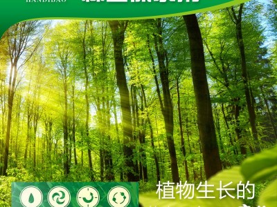 华潍旱地宝林业保水剂 反复保水 释水 抗旱剂 土壤保湿图2