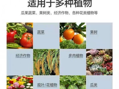 螯合铁 eddha螯合铁肥 EDDHA-Fe6 快速补铁 黄化黄叶克星血铁图5