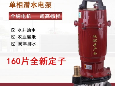 单相潜水泵220V家用自吸高扬程抽水泵农用排污泵灌溉污水泵抽水机图2