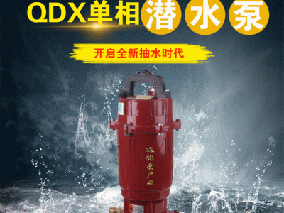 单相潜水泵220V家用自吸高扬程抽水泵农用排污泵灌溉污水泵抽水机图3