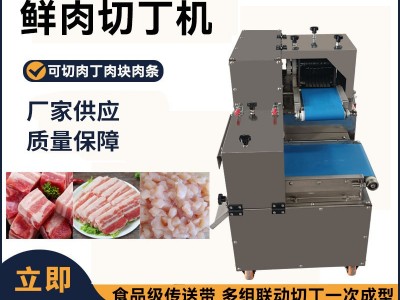 全自动鲜肉切丁机全自动切肉机烧烤肉块鸡胸肉切丁机猪肉 切条机器图2