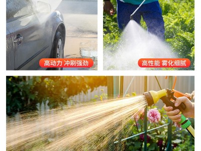 福达双电机电动喷雾器隔膜泵关枪停机压力泵农用高压洗车抽水泵图3