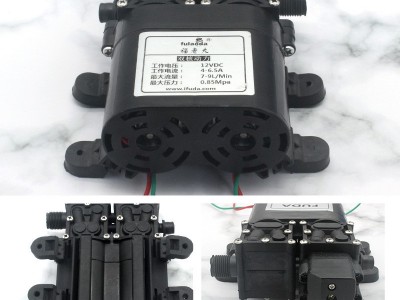 福达双电机电动喷雾器隔膜泵关枪停机压力泵农用高压洗车抽水泵图2