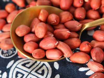 厂家贴牌加工红皮红衣花生农家无壳500g真空包装红衣花生礼品花生图2