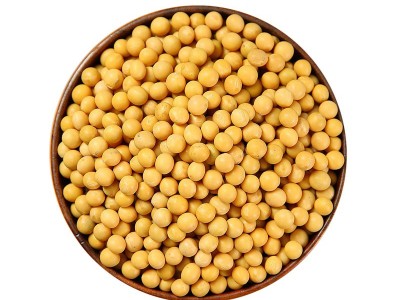 工厂贴牌定制东北大豆真空包装黄豆批发非转基因打豆浆黄豆500g图4