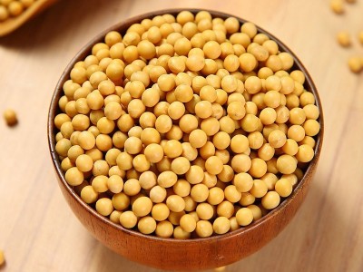 工厂贴牌定制东北大豆真空包装黄豆批发非转基因打豆浆黄豆500g图5