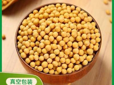 工厂贴牌定制东北大豆真空包装黄豆批发非转基因打豆浆黄豆500g图2