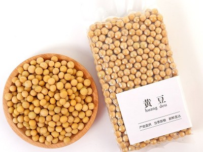 工厂贴牌定制东北大豆真空包装黄豆批发非转基因打豆浆黄豆500g图3