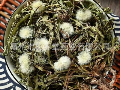 新货蒲公英中药材批发整颗粉散装大500克茶2斤根包邮干图2