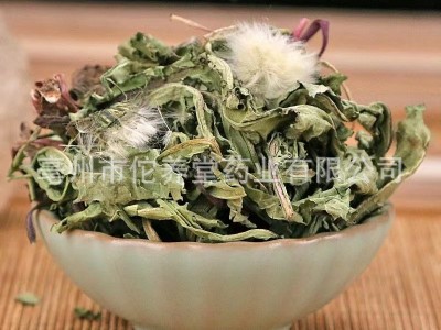 新货蒲公英中药材批发整颗粉散装大500克茶2斤根包邮干图3