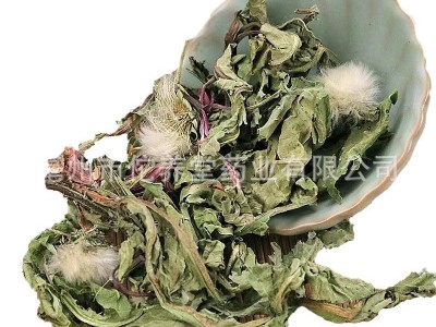 新货蒲公英中药材批发整颗粉散装大500克茶2斤根包邮干图5