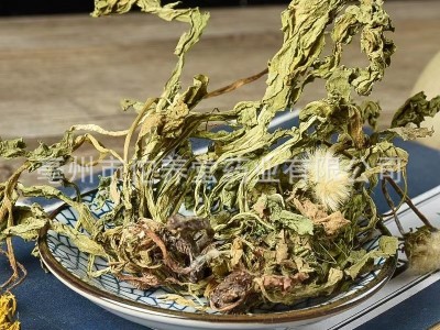 新货蒲公英中药材批发整颗粉散装大500克茶2斤根包邮干图4