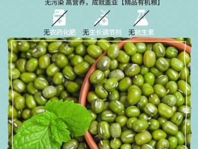 盖亚农场 有机绿豆900g/袋东北特产笨绿豆可发芽杂粮图4