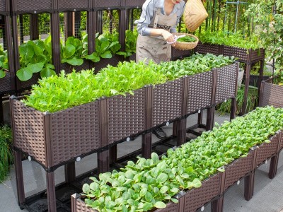 阳台蔬菜种植箱 种菜花盆露台 楼顶特大长方形立体组合花盆种树箱图2