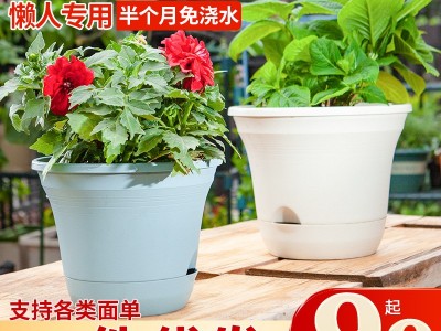 懒人自吸水花盆加厚塑料花盆厂家直发支持代发花盆网红款绿萝花盆图3