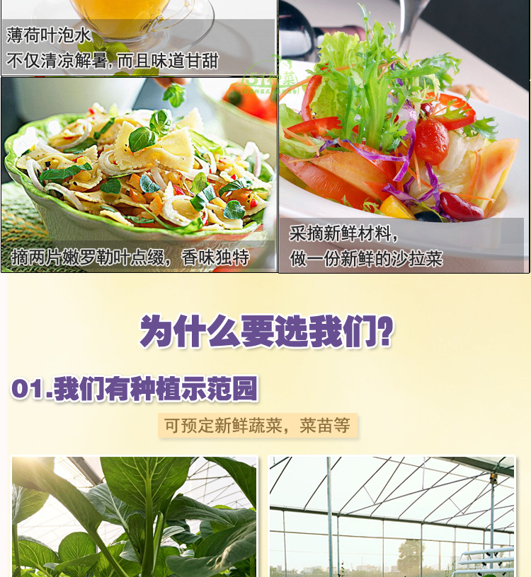 四排三层介绍图_16.jpg