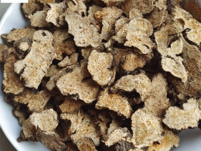 【紫轩堂】苍术500g新货上市量大从优实物拍摄家种苍术图3